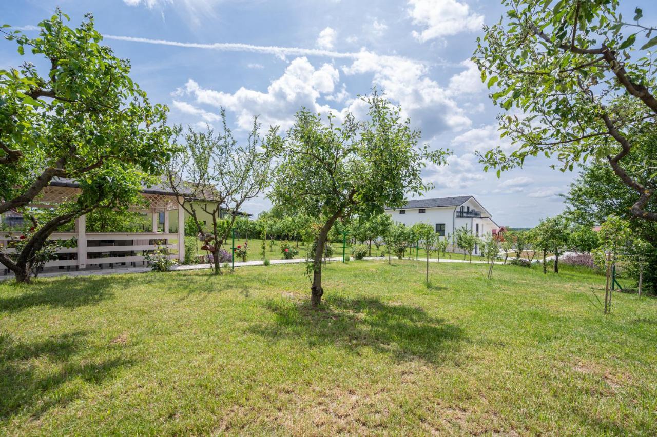 Appartamento Casa Fischer Ciheiu Esterno foto